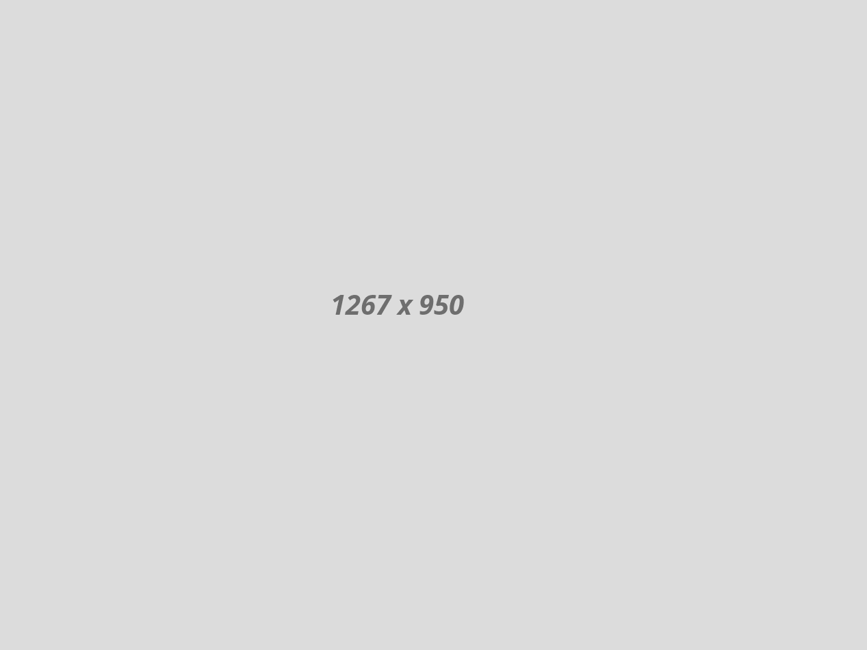 gallery09
